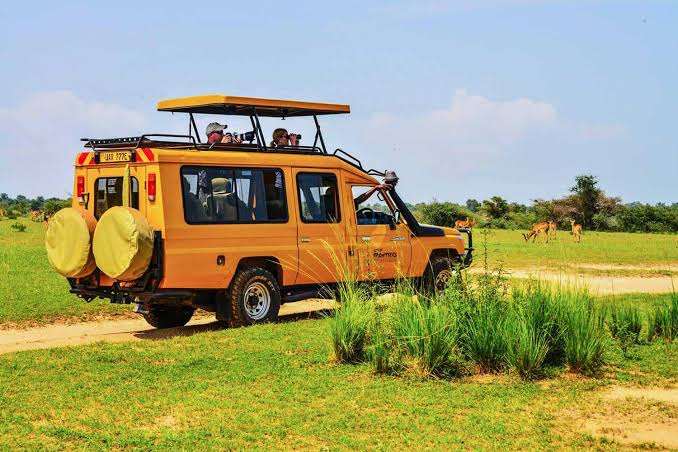 Safari vehicle on a Uganda game drive